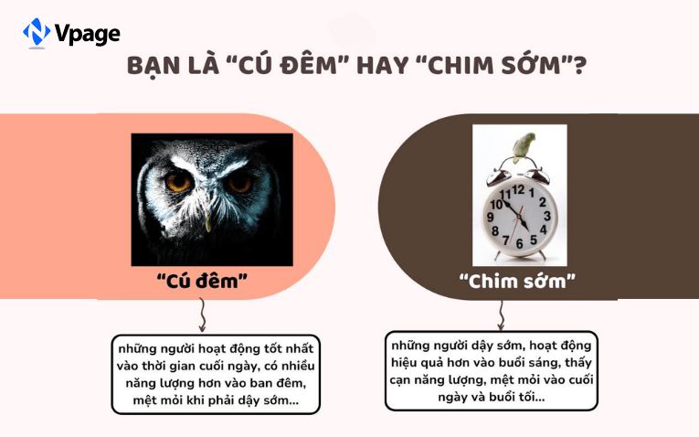 Câu hỏi mang tính giải trí, gần gũi, dễ viral