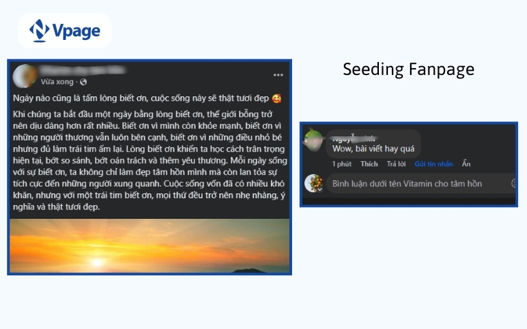 Seeding&nbsp;fanpage là gì? 