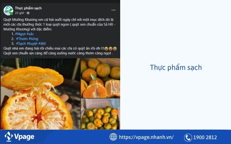 Thực phẩm sạch 