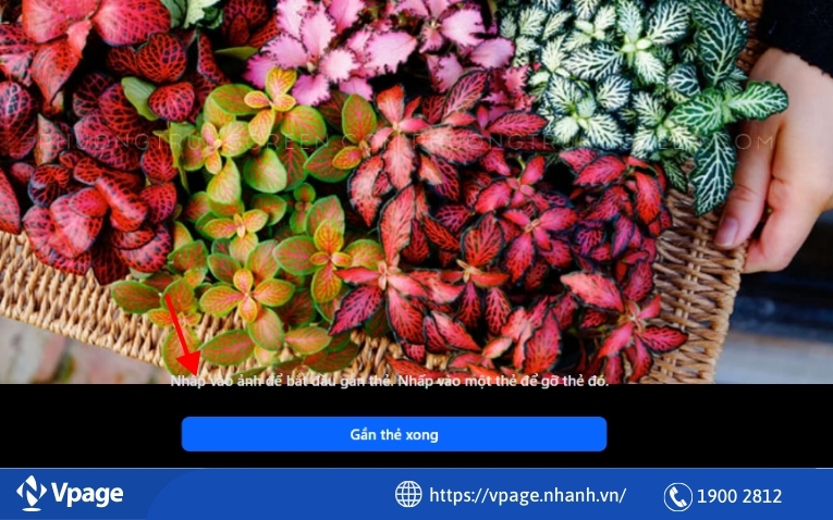 Có thể thêm vào bất cứ chỗ nào để gắn thẻ 