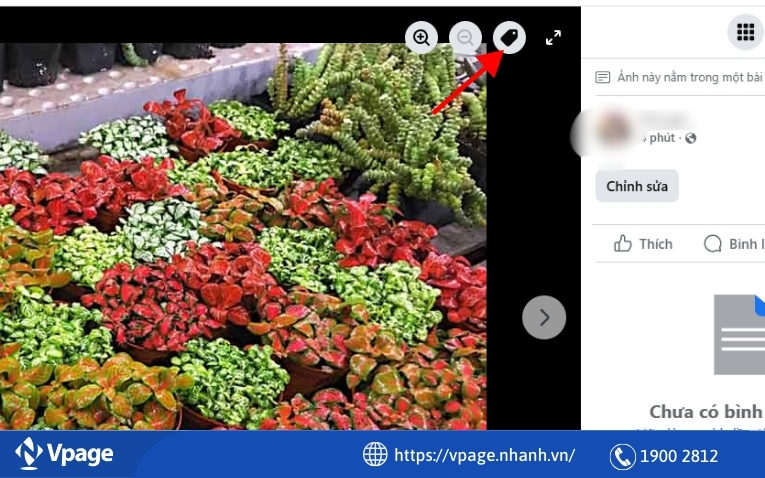 Nút gắn thẻ trên một ảnh trong Album