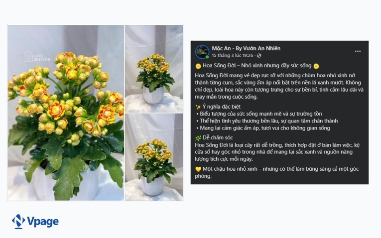 Hình ảnh trên Fanpage cần phải chỉn chu, thu hút 